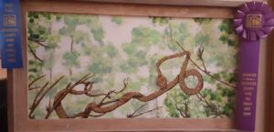 Blunt headed tree snake